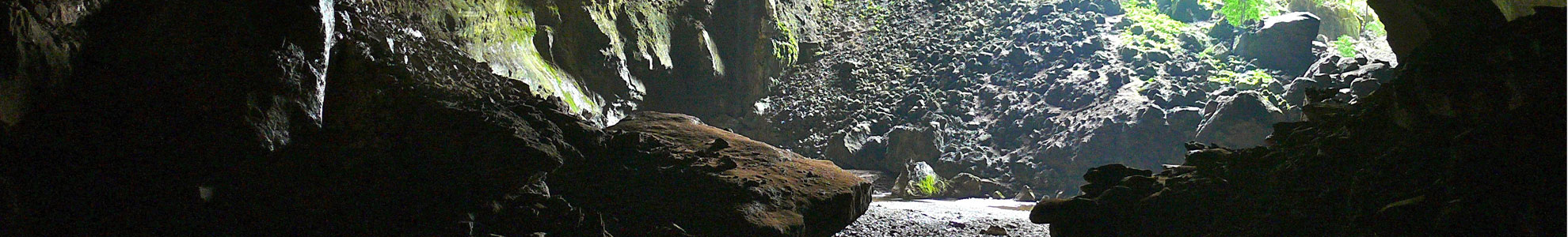Gunung Mulu National Park