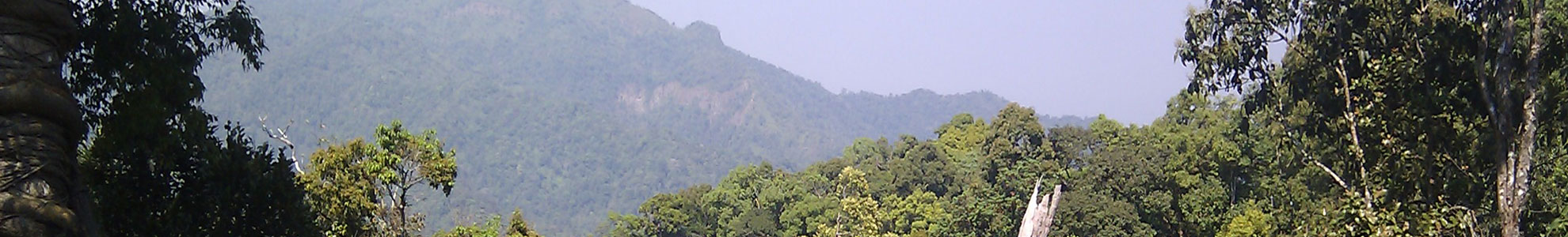 Kaeng Krachan Forest Complex