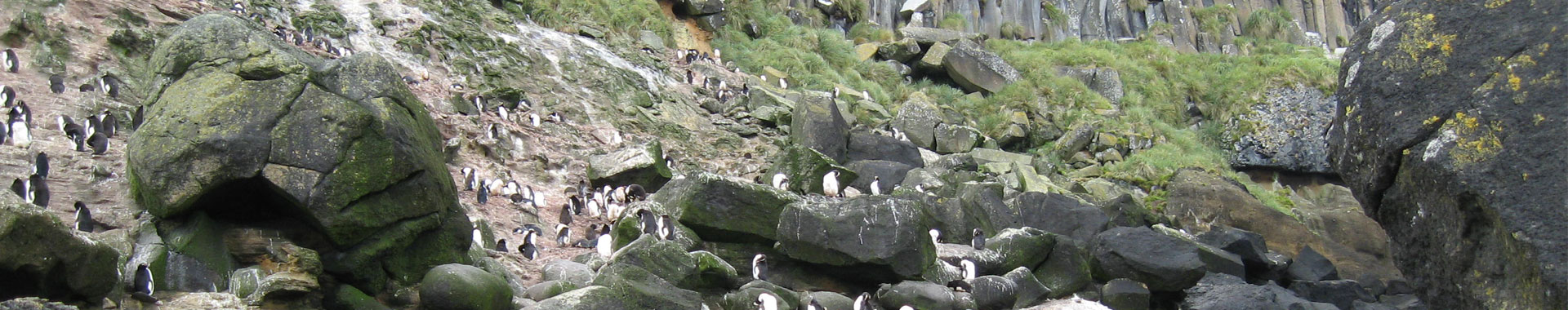 New Zealand Sub-Antarctic Islands