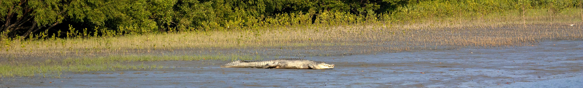 Sundarbans National Park