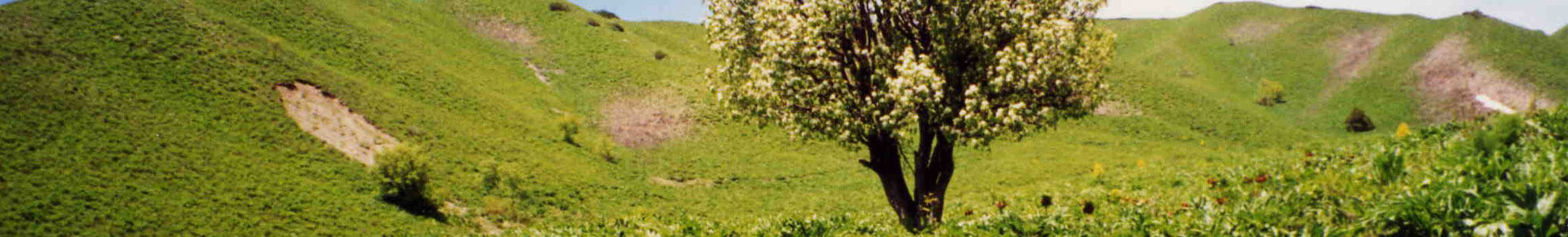 Tajik National Park (Mountains of the Pamirs)