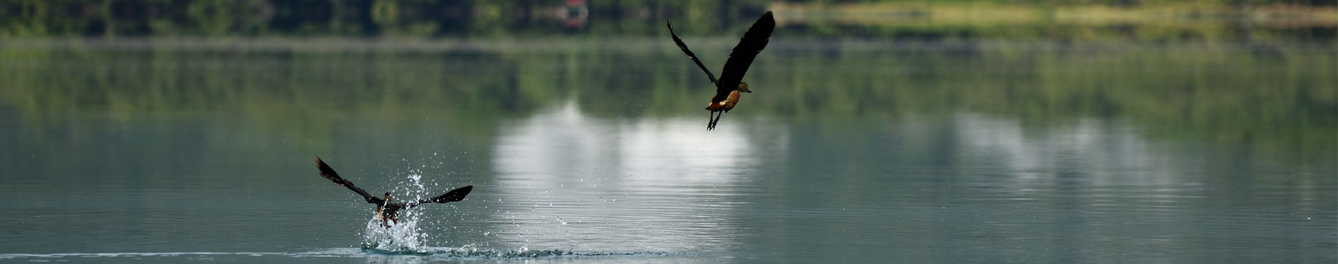 Tropical Rainforest Heritage of Sumatra