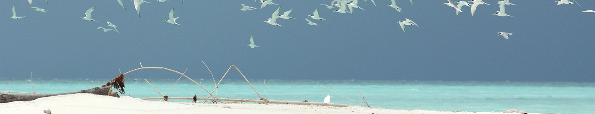 Tubbataha Reefs Natural Park
